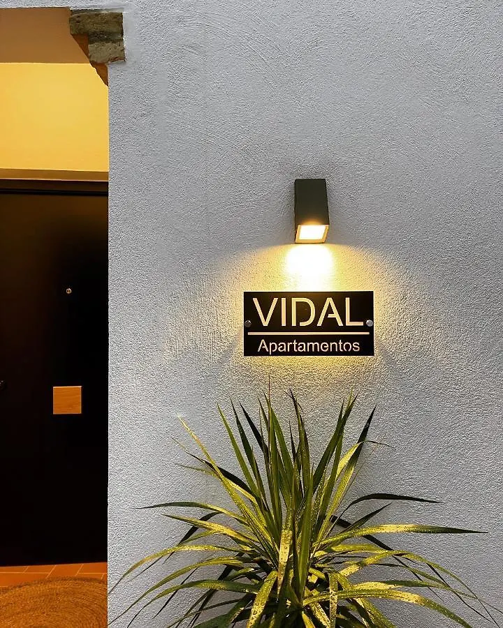 Vidal Apartamentos Con Parking Privado. Carmona  Apartment Carmona (Seville)